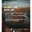 O.K마운틴&캠핑몰 - 동구 둔산로40길 15 | LA 출도착 그랜드캐년 2박3일 투어, LA 하루 투어 추천!… 라스베가스, 그랜드캐년 , 바베큐, 은하수...