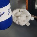 시골근육 이미지