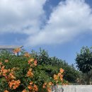 욕지노을펜션민박 | 욕지도 숙소 추천 : 앱에도 없는 '욕지노을펜션' 내돈내산 가성비 깨끗한 바다 민박 펜션 추천