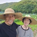 오병이어농장 이미지