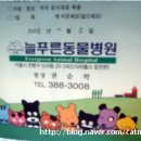 늘푸른종합동물병원 이미지