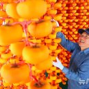 정성스레 이미지