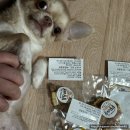 몽몽야옹 이미지