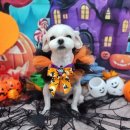 주안진흥아파트 이미지