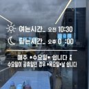 조양체육관 이미지