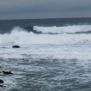 상신초등 이미지