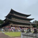 [제주 여행] 제주 대형 사찰 약천사 방문 / 제주 힐링 코스 추천!