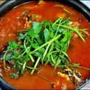 한농원 Daum카페