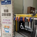 성당초등학교 | 익산 교도소 세트장 애견동반 여행 펫포토존 죄수복 무료대여 후기