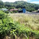 해원부동산중개사무소 이미지