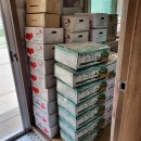 구로-구로-구로-1227 이미지