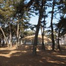 흥덕왕릉 화장실 이미지