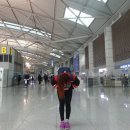 신가고철 | THE DAY IS THE DAY _ (공항 to 공항) : 한국에서 로마로 자전거 보낸 후기
