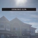 안면애견펜션프리독 네이버블로그