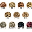 도담제
