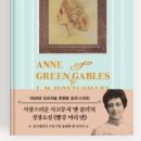 빨간머리앤 티스토리