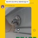 마커스클린 이미지