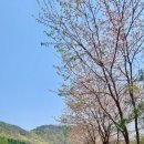 갈릴리펜션 이미지