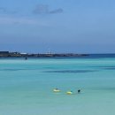 용수리머물다 이미지