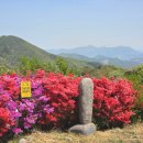 태청산농장 네이버블로그