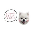 돈까스맨 이미지