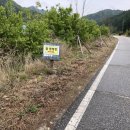 탑캠핑장글램핑 이미지