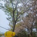 이디야용궁사점 | 부산 해동용궁사 소원 하나는 꼭! 입장료 & 소원등 가격 총정리