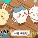 [일본문화] 치이카와: 인어섬의 비밀 더빙 예고편 이미지