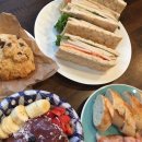 11215-자양2-744 | [아기 둘이랑 샌디에고 여행🏖]Day 11_San Diego Zoo, 샌디에고 동물원, 샌디에고 자유여행, 미션비치...