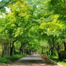 과천역 7번 출구(내점길) 이미지