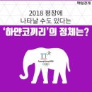 하얀코끼리 이미지