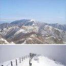 신미주(아) 이미지