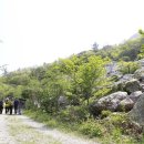 달마고도 이미지