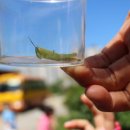 한결농장 이미지