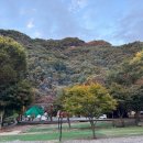 태양힐링숲 | 가을 캠핑 후기 - 태양숲 힐링 캠핑장 정보, 장단점, 추천자리