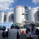"후쿠시마 오염수 방류 투명하지 않아" 해커집단 `어나니머스`, 日 원자력 단체 사이버 공격 이미지