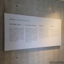 제주 본태박물관 관람 후기 / 안도 타다오와 쿠사마 야요이를 만나다