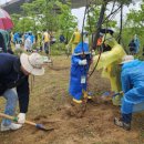 송도 달빛공원 리틀야구장 이미지