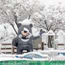강원양돈축산업협동조합 이미지