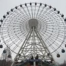 초심, 처음태권도 이미지