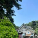 휴양림3170 | 안면도애견펜션 휴양림3170 꽃지해수욕장 5분거리 안면도수목원 펜션