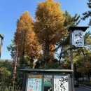 삼원관광호텔 | 교토 단풍 시즌, 난젠지 근처 두부요리 맛집 준세이 방문기