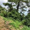 소안면-1 이미지