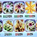 꽃길만두 이미지