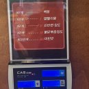 마라캡틴 | 내포 마라캡틴 방문 후기