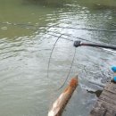 어의곡낚시터 이미지