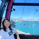 송림공원 내 | [ 부산데이트 ] 송도해상케이블카 타고 암남공원 해안 산책로