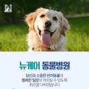 뉴케어 동물병원 이미지