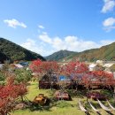 설하관광농원 이미지