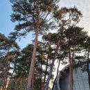 관동하키센터 보조경기장 실내테니스장 이미지